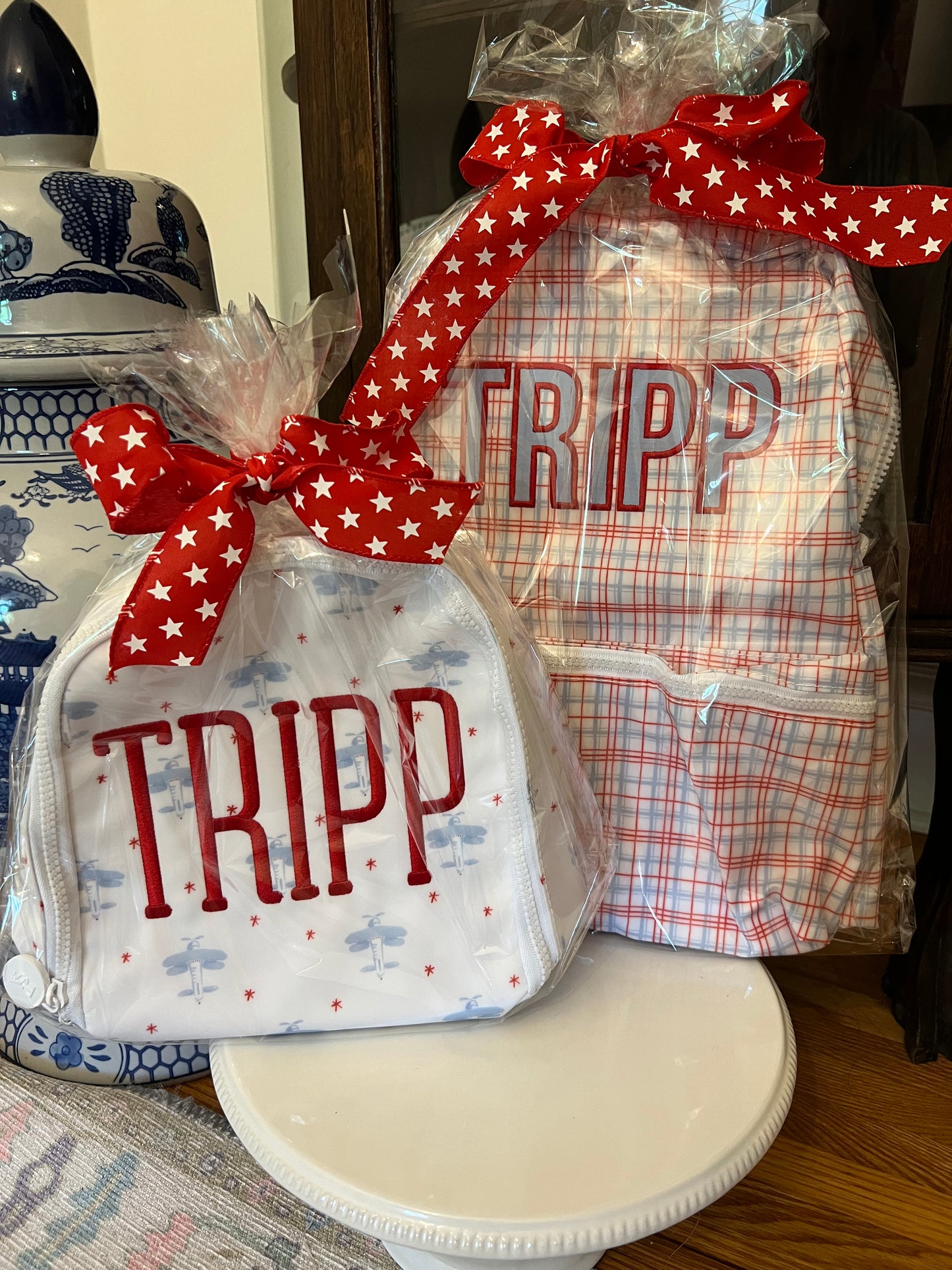 Backpack REGULAR SIZE TRVL WIPEABLE WASHABLE