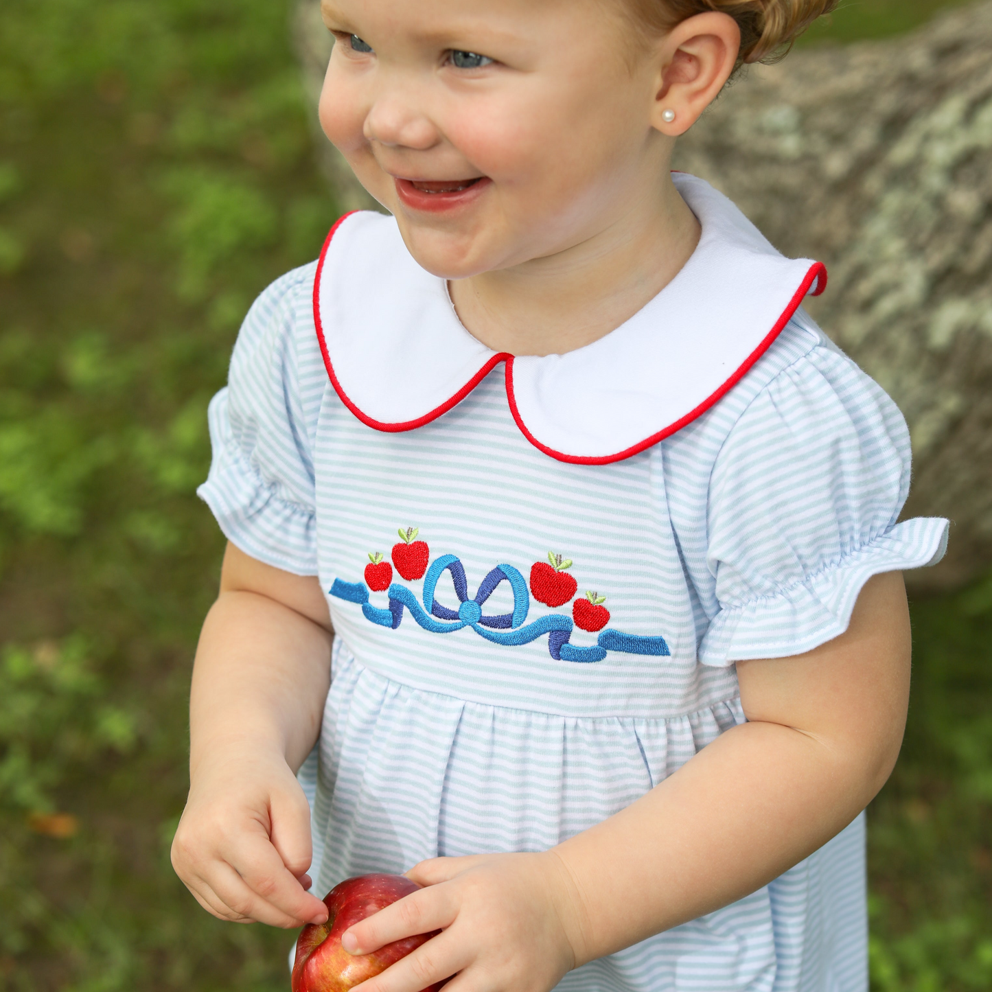 Apples and Bows embroidery bubble