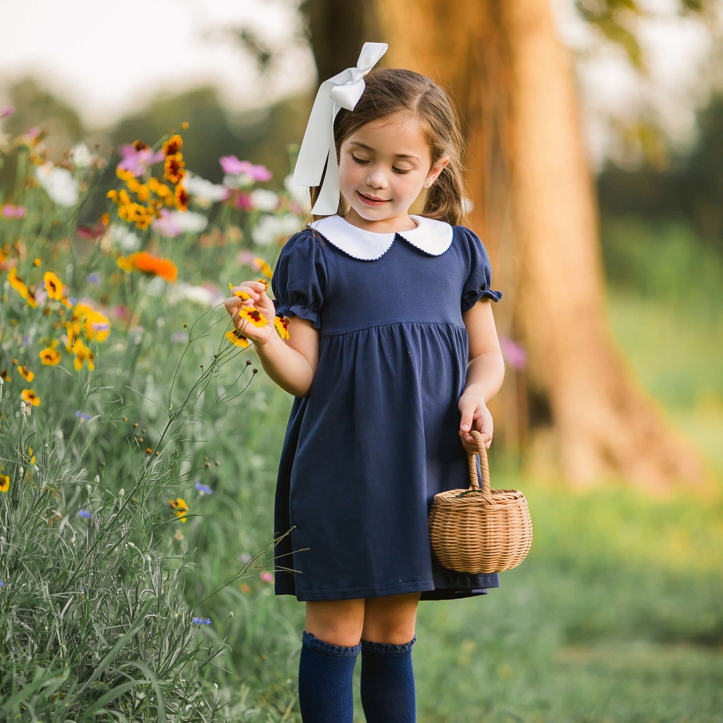 Charlotte Dress MULTIPLE COLORS