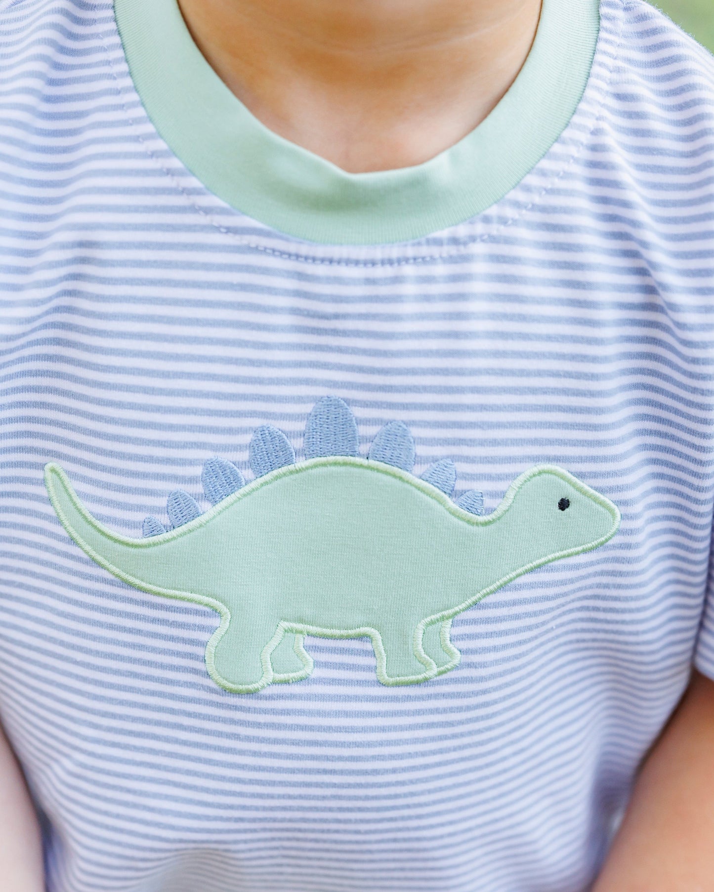 Dinosaur Short Set Boy
