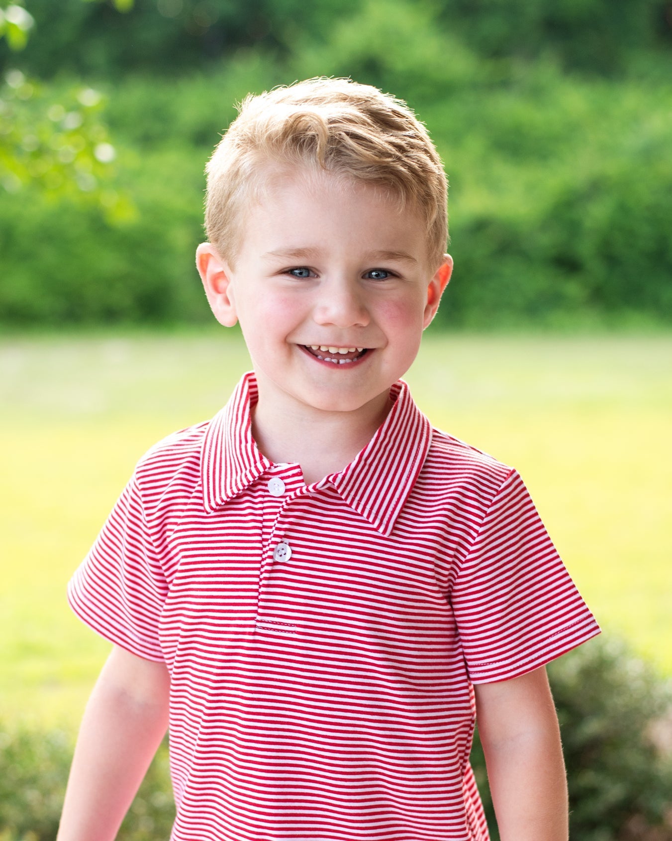 Michael Polo MULTIPLE COLORS