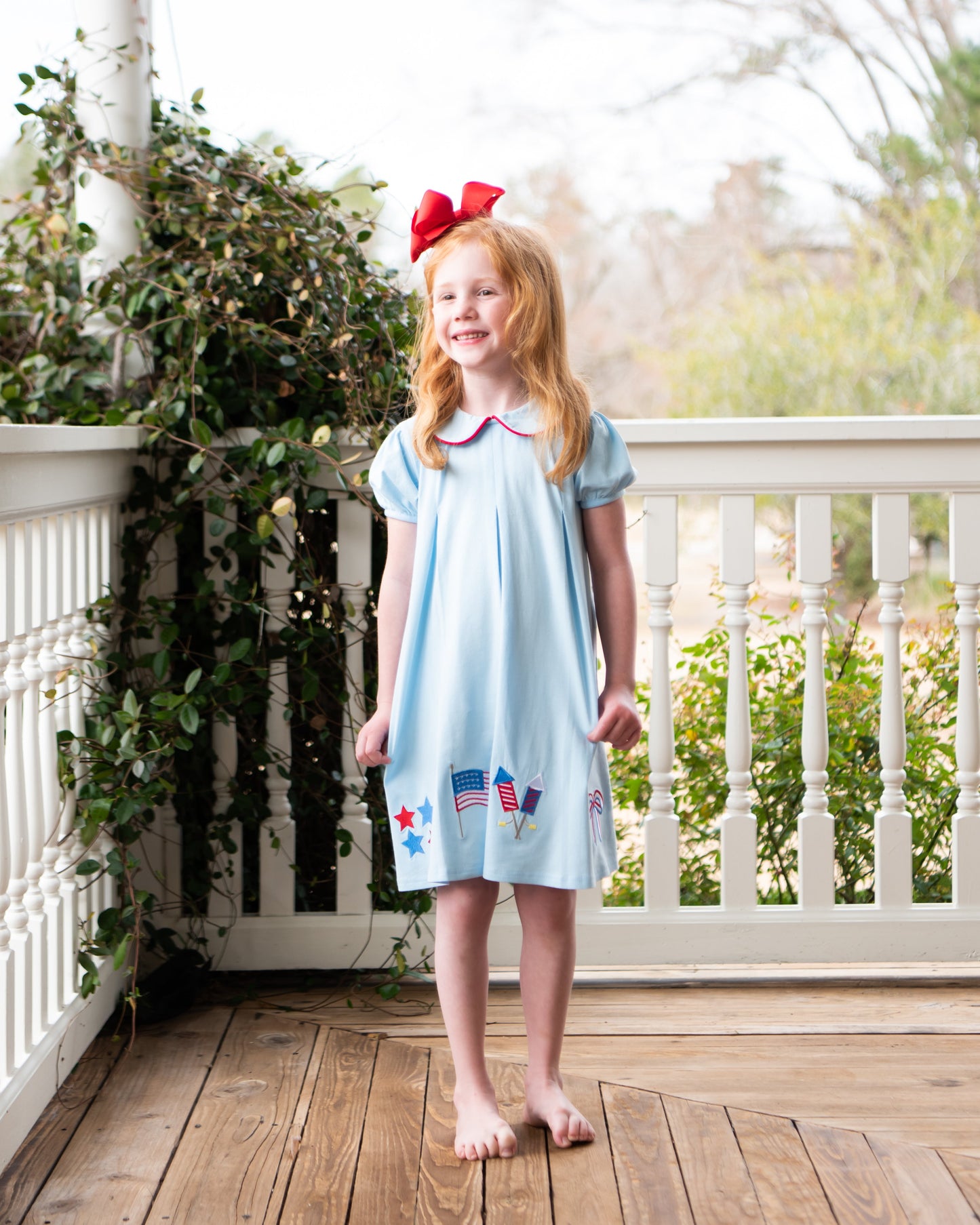 Patriotic Pleat Embroidery Dress