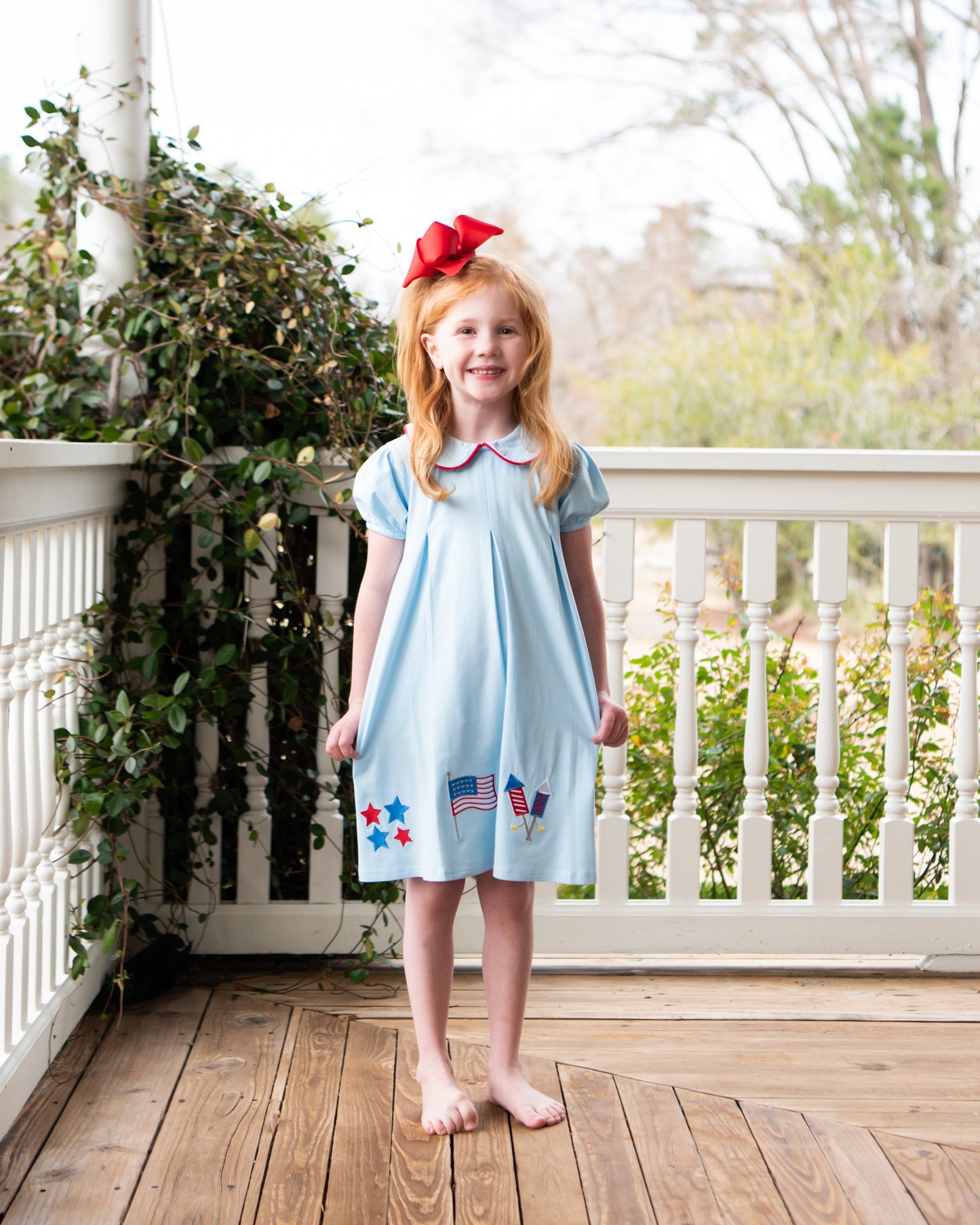 Patriotic Pleat Embroidery Dress